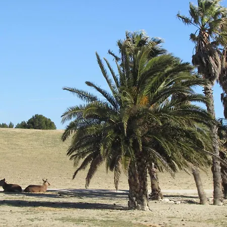 Mobilhome Coup De Coeur Campsite *